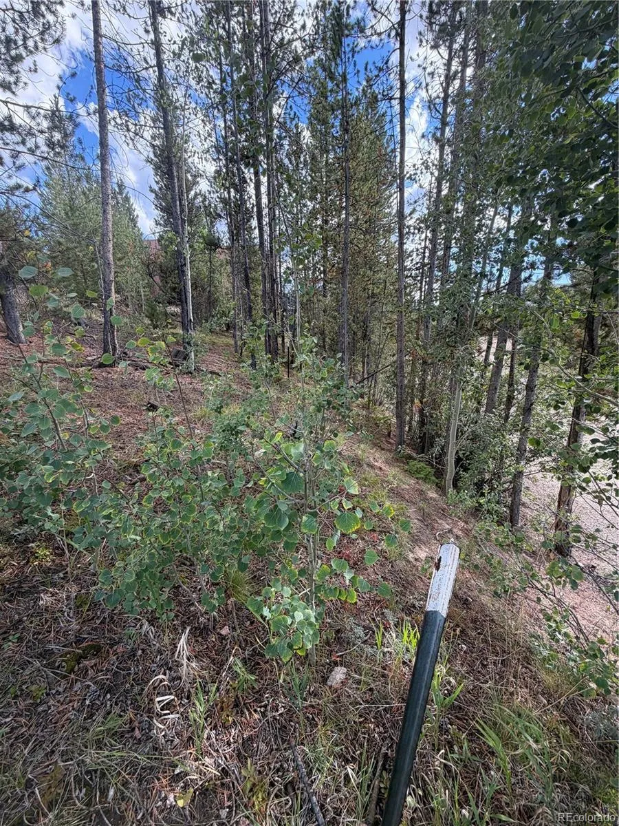 114 and 122 GCR 4905 Grand Lake, CO 80447