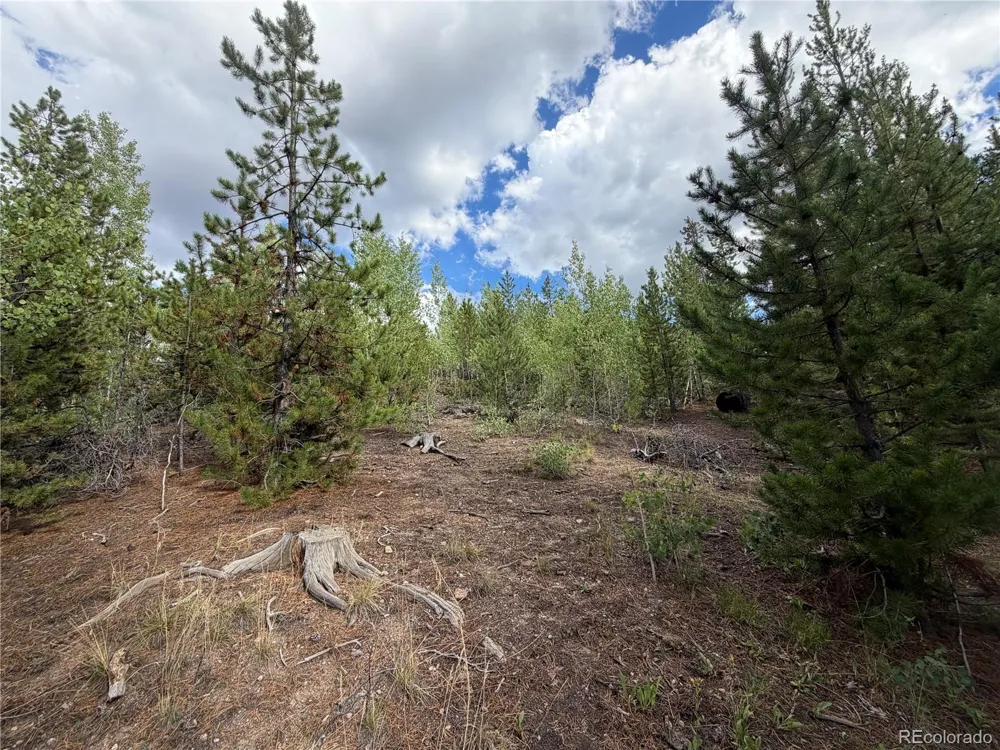 114 and 122 GCR 4905 Grand Lake, CO 80447