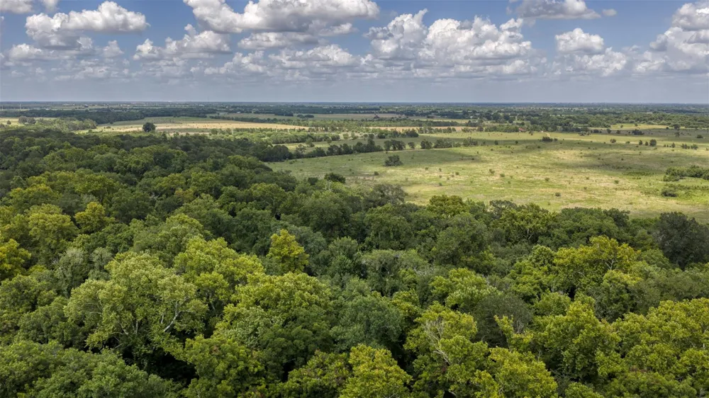 12412 E Ueckert Road Bellville, TX 77418