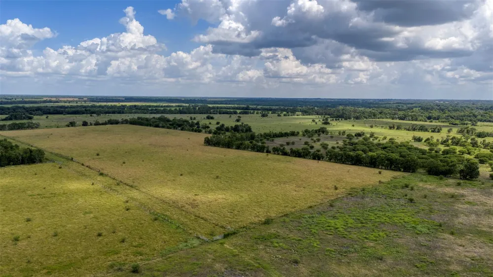 12412 E Ueckert Road Bellville, TX 77418
