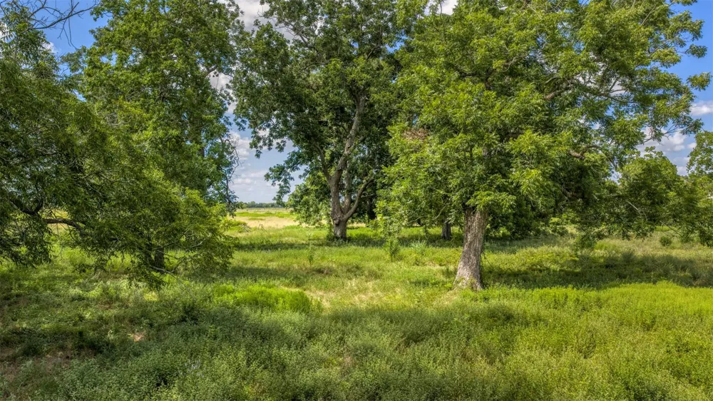 12412 E Ueckert Road Bellville, TX 77418