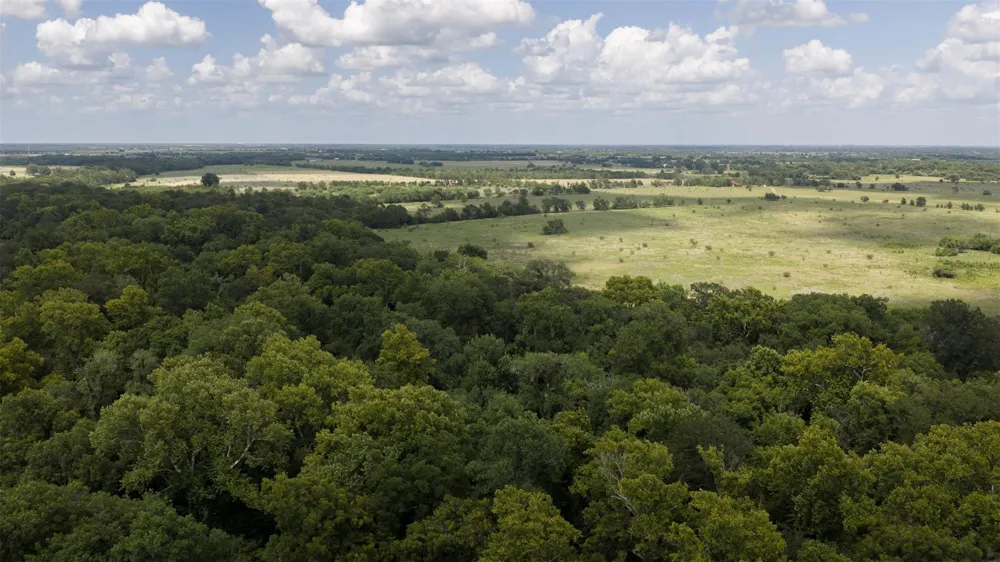 12412 E Ueckert Road Bellville, TX 77418
