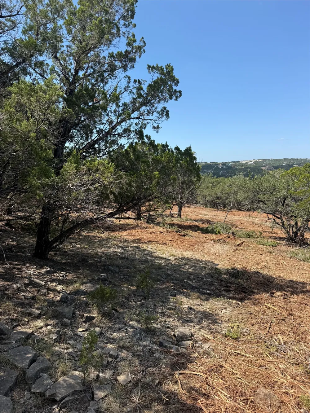 Bee Creek Road Spicewood, TX 78669