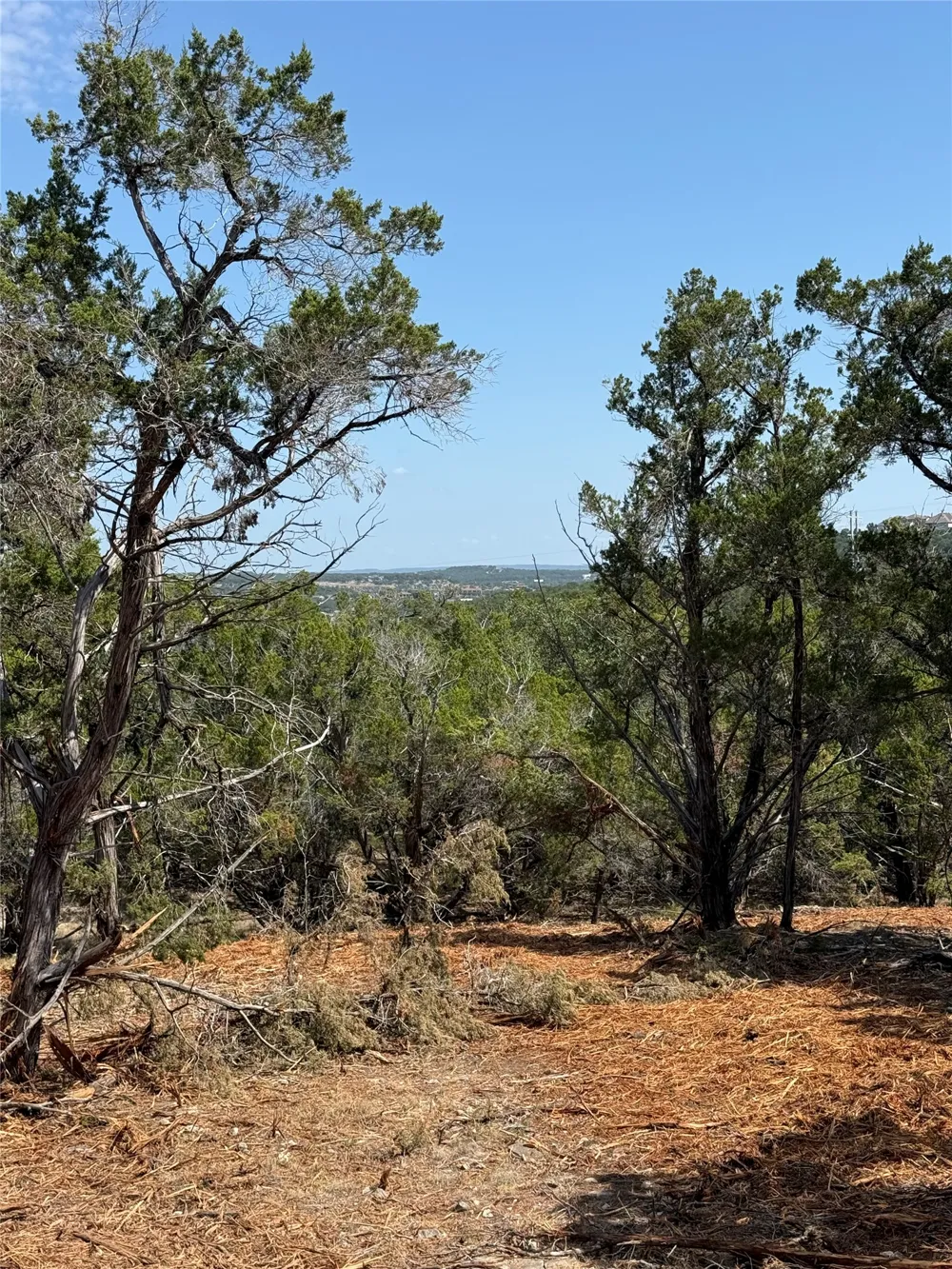 Bee Creek Road Spicewood, TX 78669