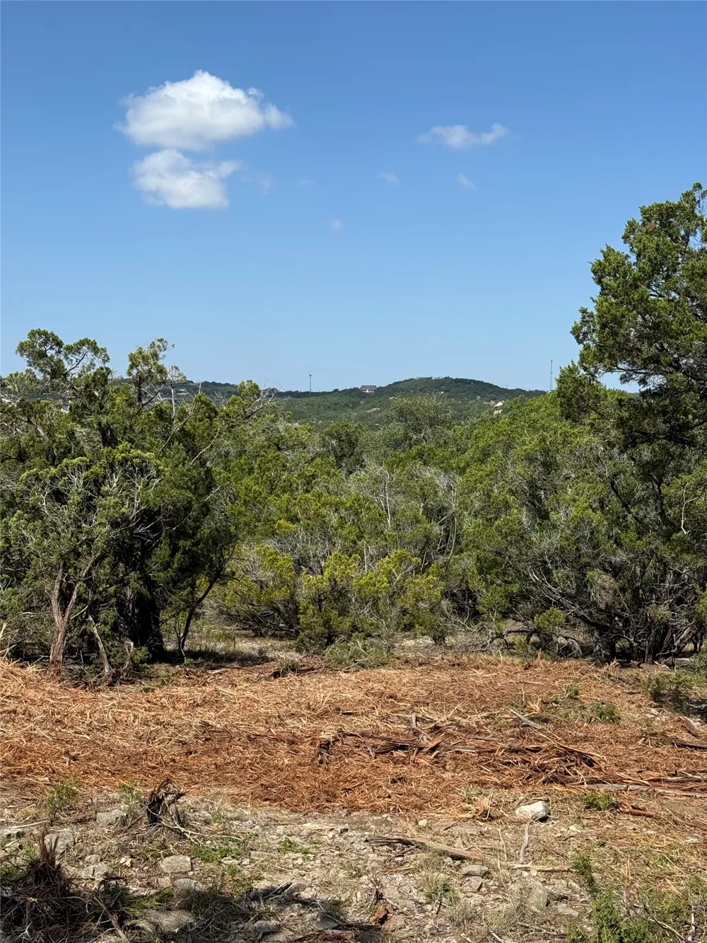 Bee Creek Road Spicewood, TX 78669