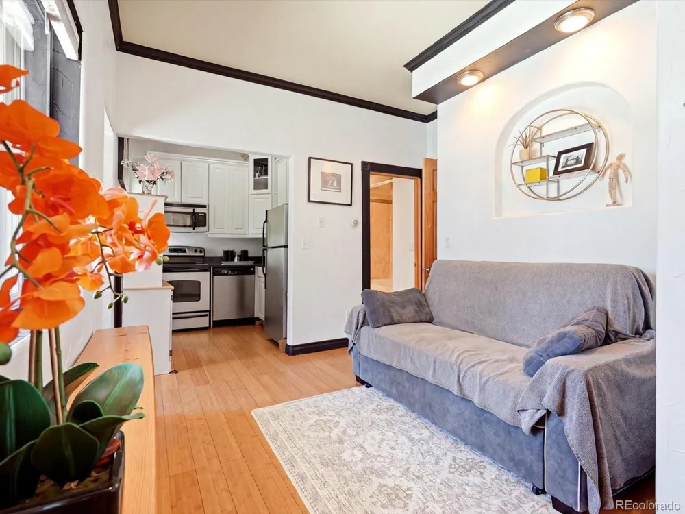 3133 Downing Street Denver, CO 80205