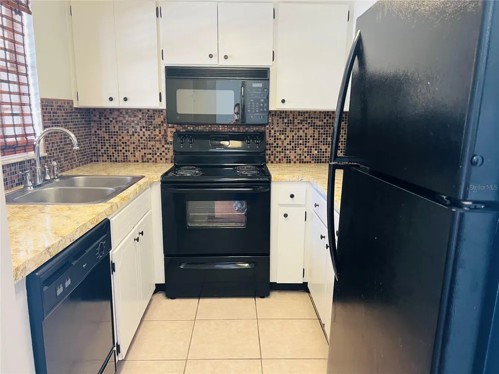5245 AMULET DRIVE #207 New Port Richey, FL 34652