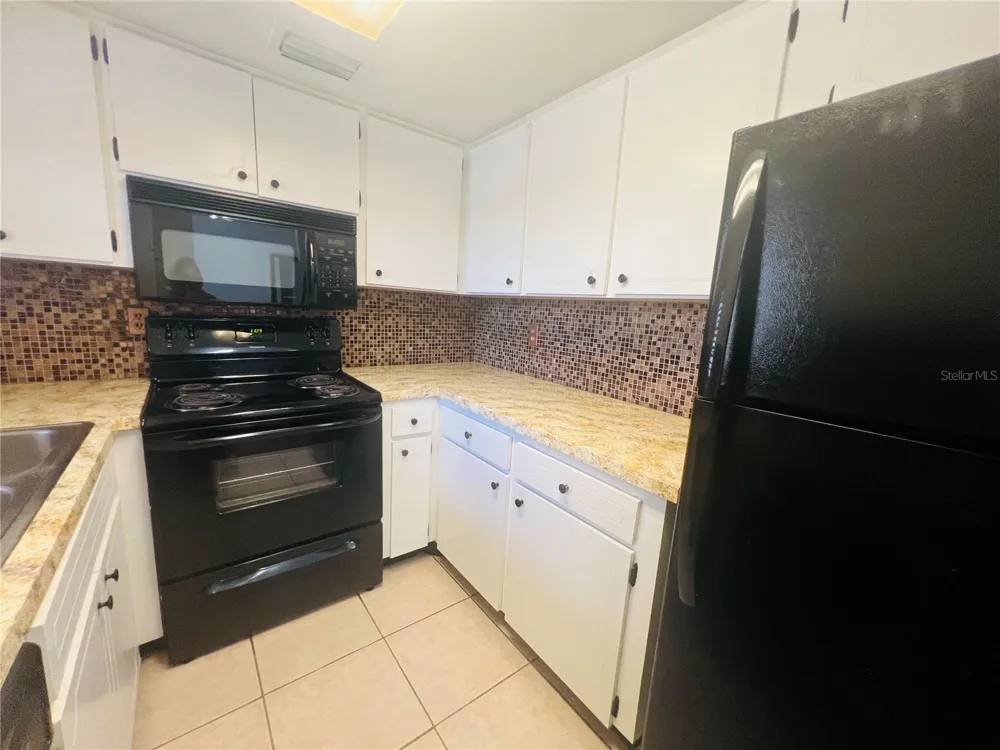 5245 AMULET DRIVE #207 New Port Richey, FL 34652