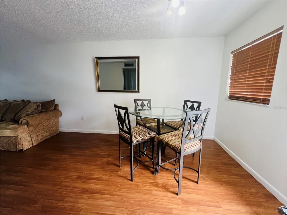 5245 AMULET DRIVE #207 New Port Richey, FL 34652