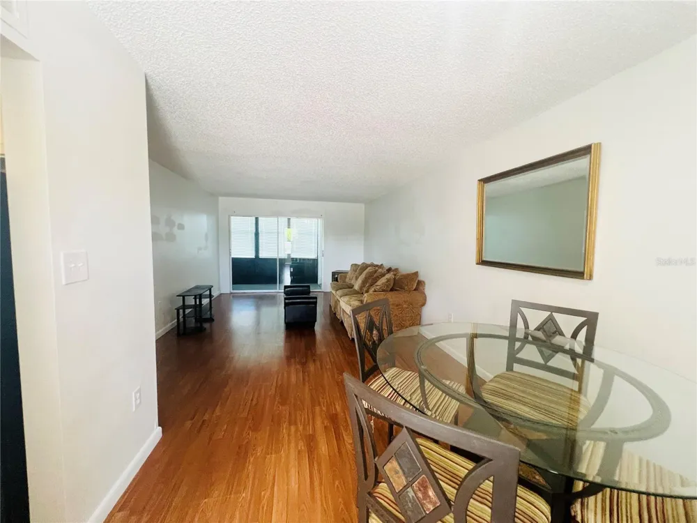 5245 AMULET DRIVE #207 New Port Richey, FL 34652