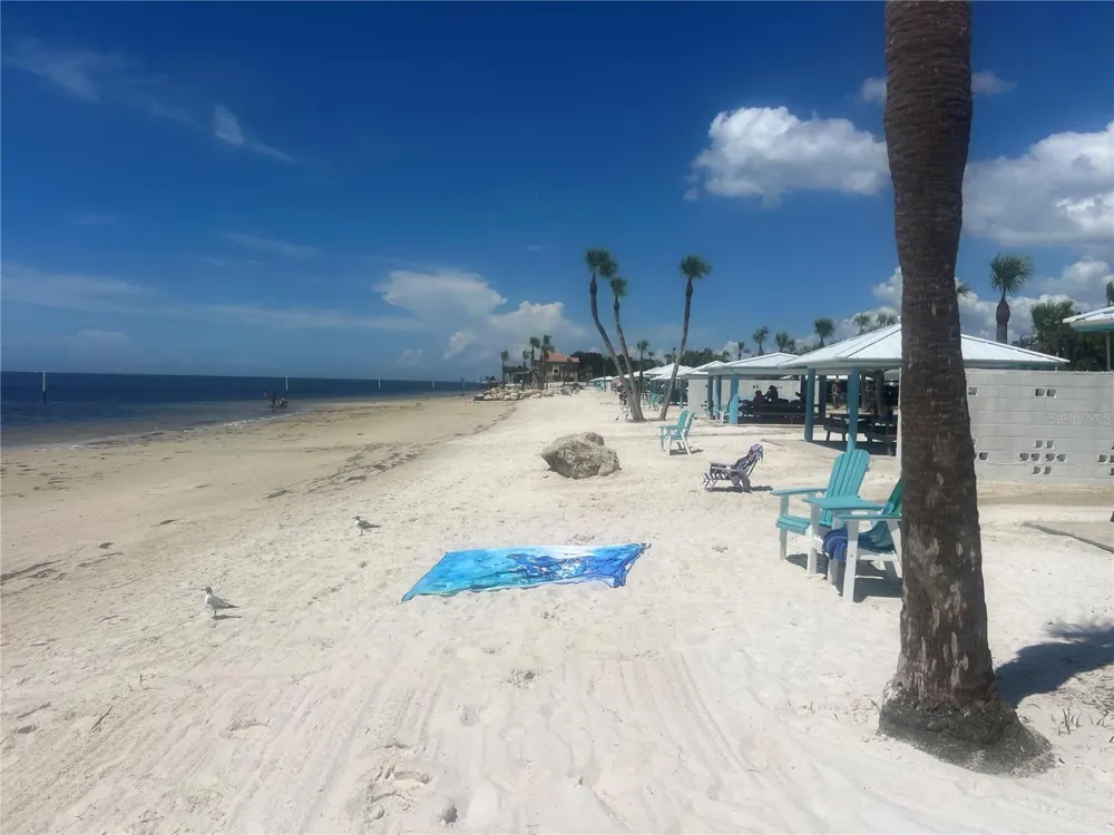 5245 AMULET DRIVE #207 New Port Richey, FL 34652
