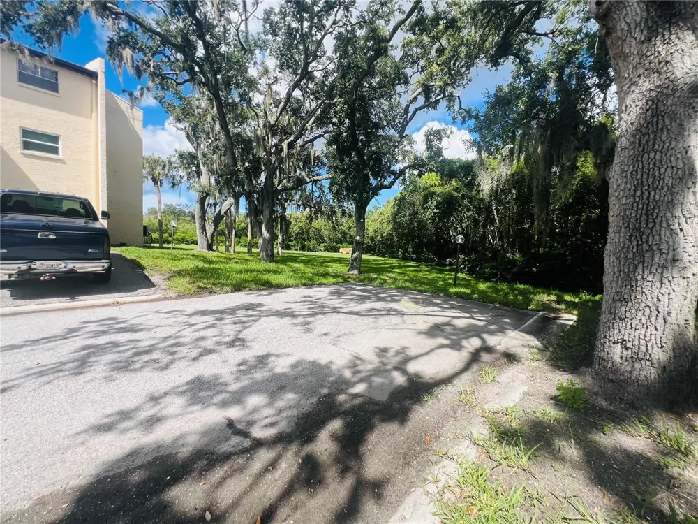 5245 AMULET DRIVE #207 New Port Richey, FL 34652