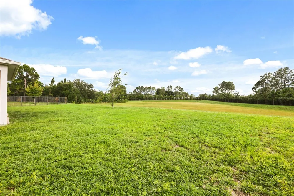17351 SAW PALMETTO AVENUE Clermont, FL 34714
