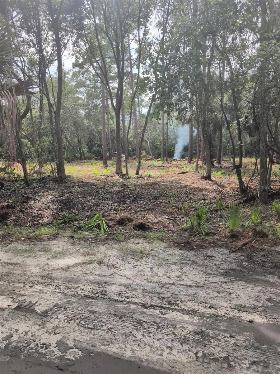 MARIE AVENUE Deland, FL 32720