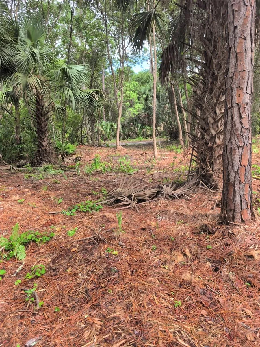 MARIE AVENUE Deland, FL 32720