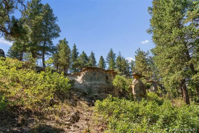 1015 Timber Valley Road Colorado Springs, CO 80919