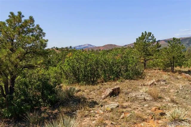 1015 Timber Valley Road Colorado Springs, CO 80919