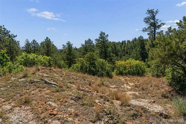 1015 Timber Valley Road Colorado Springs, CO 80919