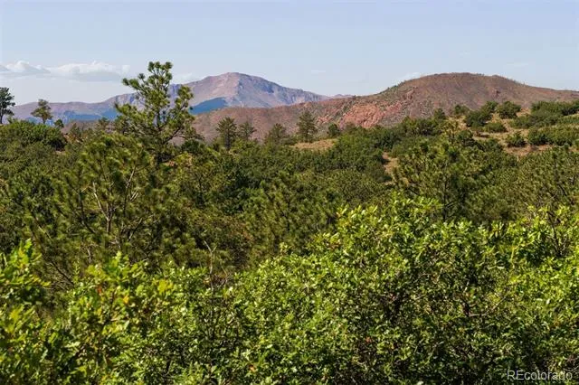 1015 Timber Valley Road Colorado Springs, CO 80919