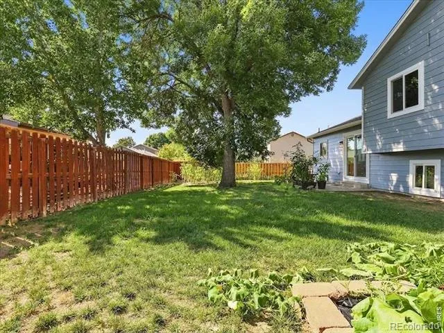 3402 White Ash Court Loveland, CO 80538