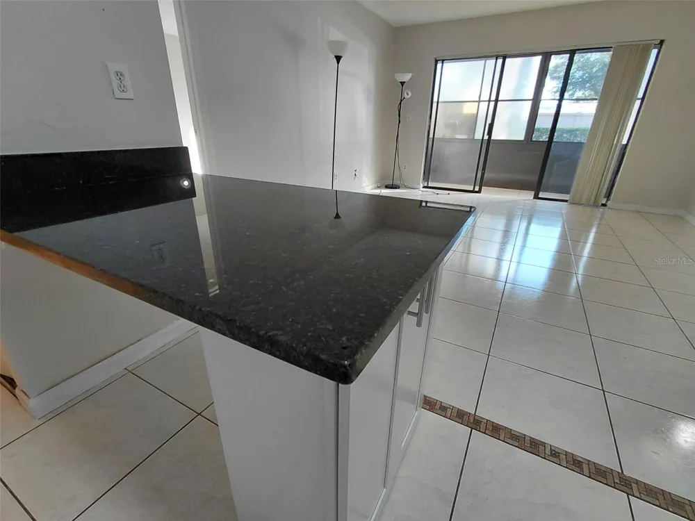 8203 SUN SPRING CIRCLE #21 Orlando, FL 32825