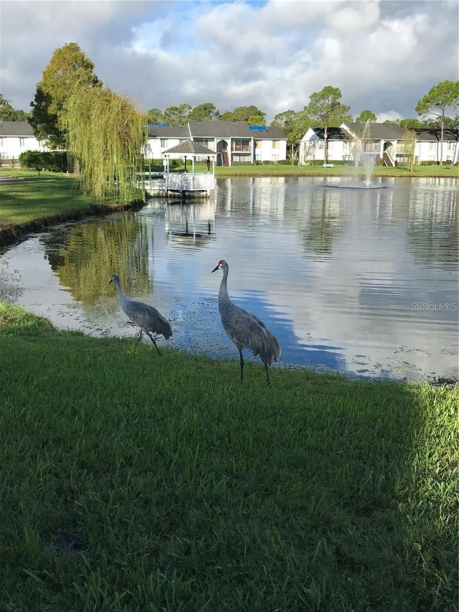 8203 SUN SPRING CIRCLE #21 Orlando, FL 32825