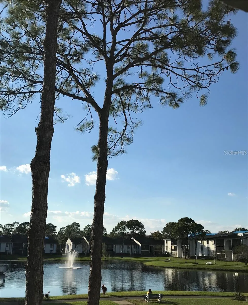 8203 SUN SPRING CIRCLE #21 Orlando, FL 32825
