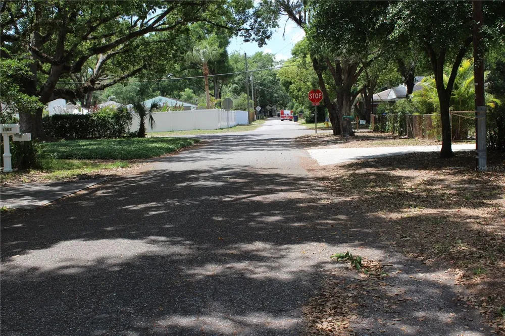 1304 E DIANA STREET Tampa, FL 33604