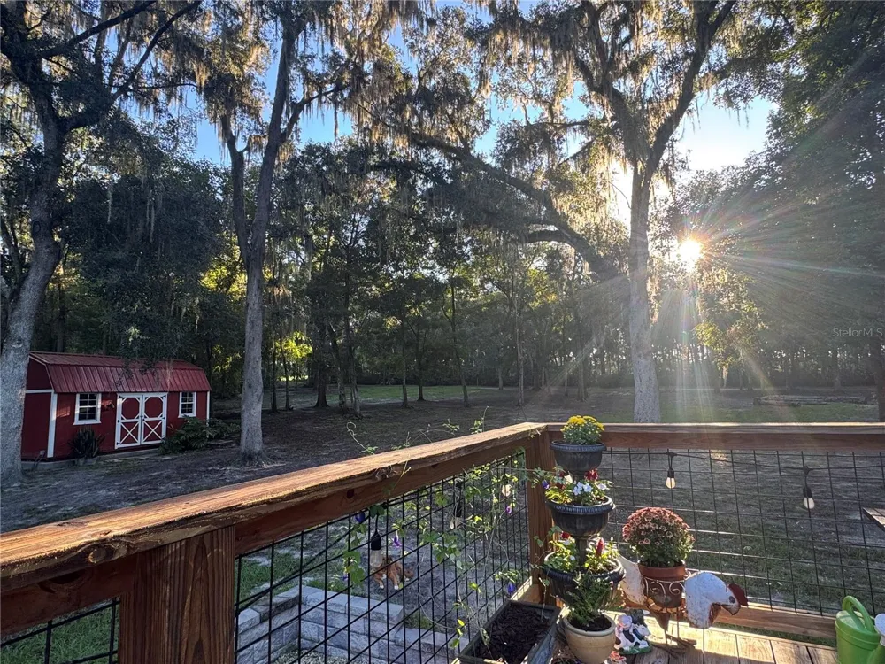 24142 TAMBER ROAD Brooksville, FL 34602