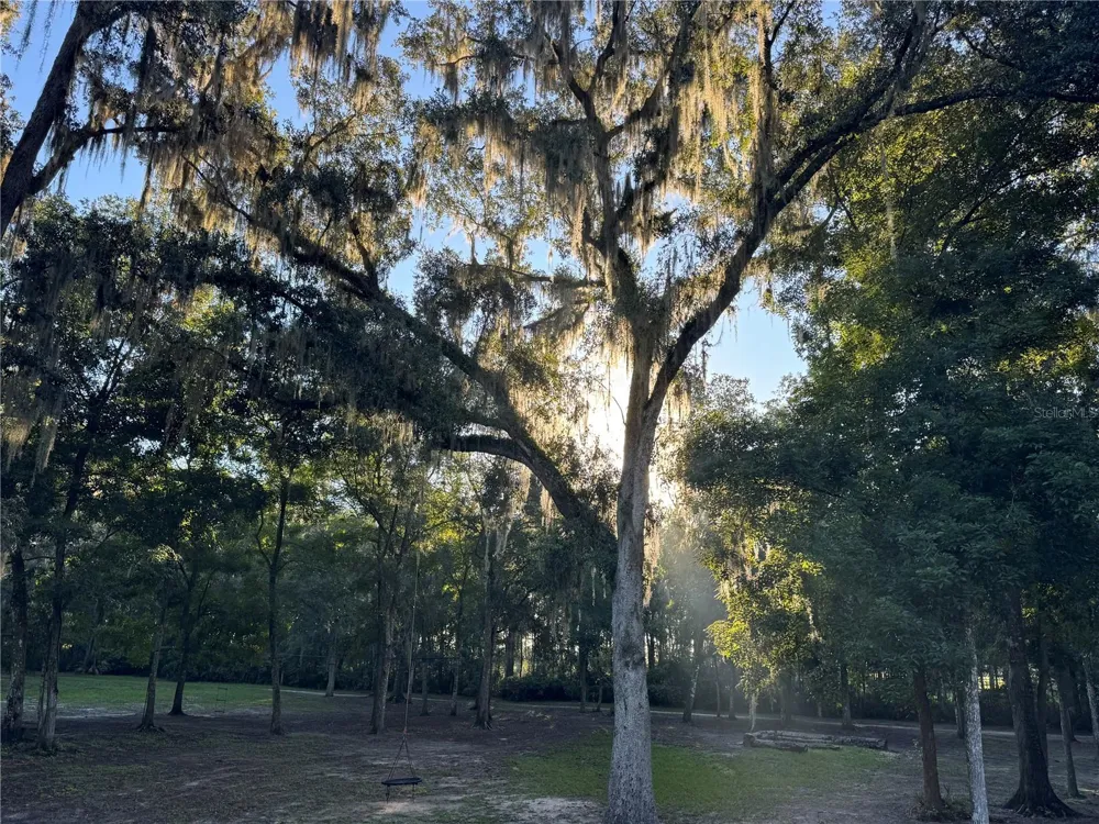 24142 TAMBER ROAD Brooksville, FL 34602
