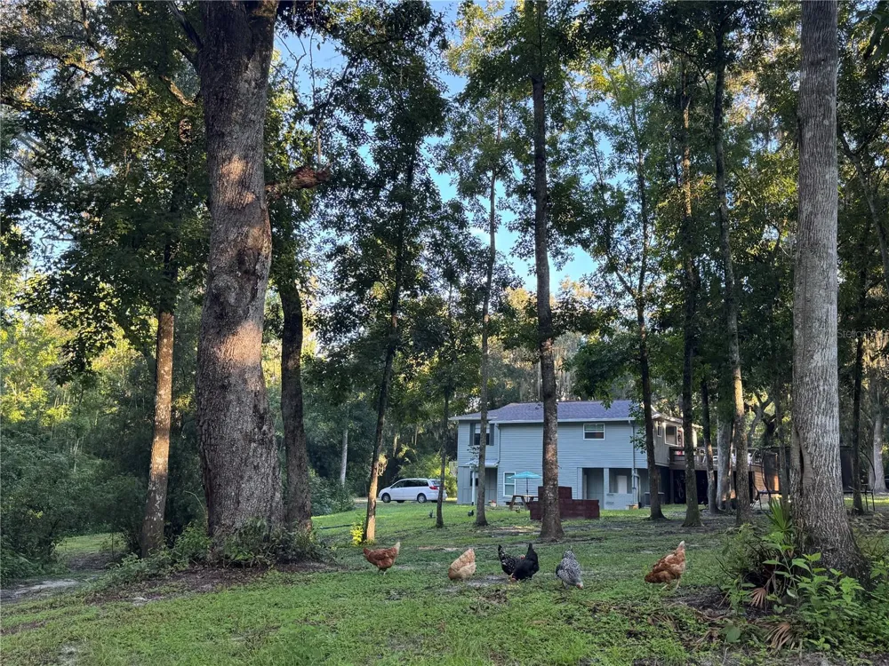 24142 TAMBER ROAD Brooksville, FL 34602