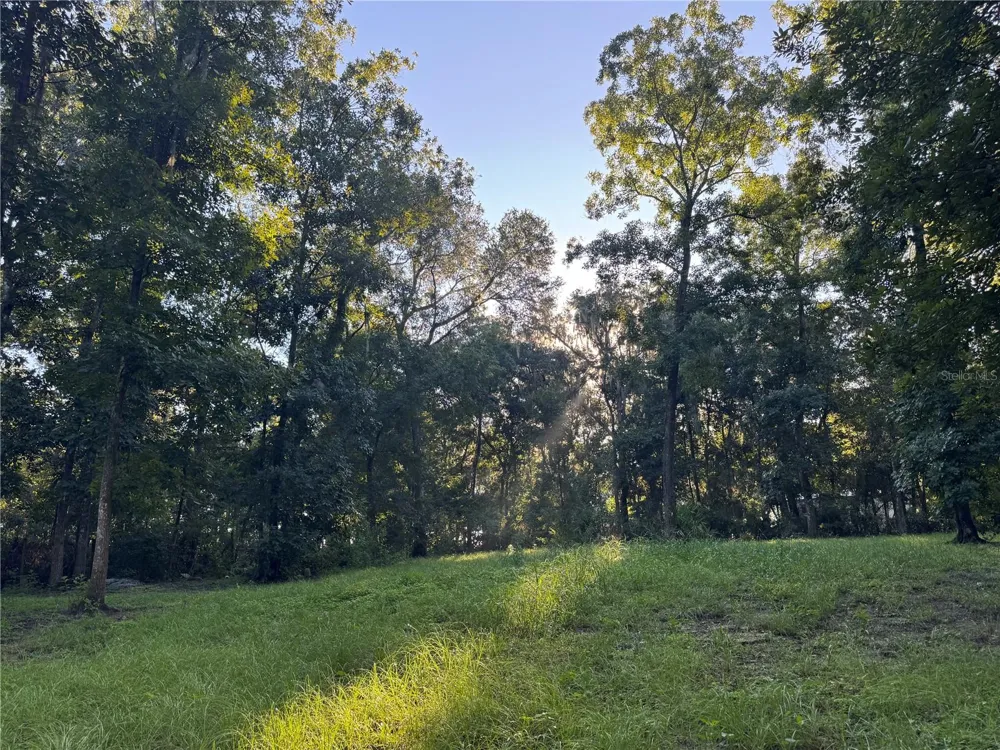 24142 TAMBER ROAD Brooksville, FL 34602