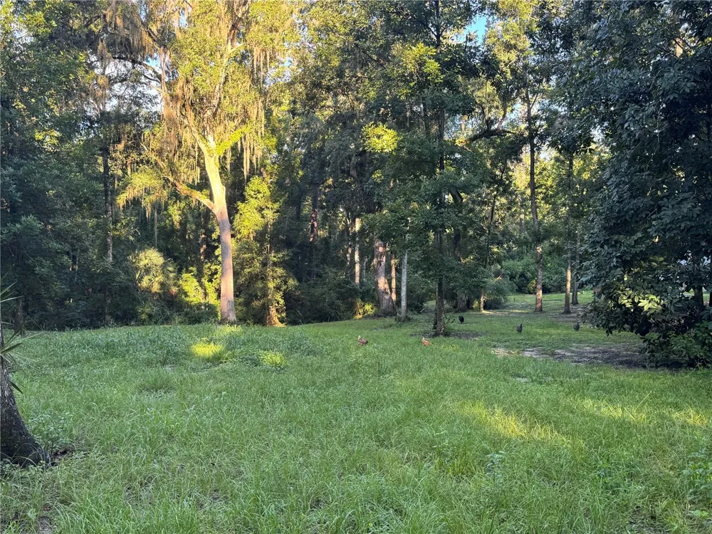 24142 TAMBER ROAD Brooksville, FL 34602