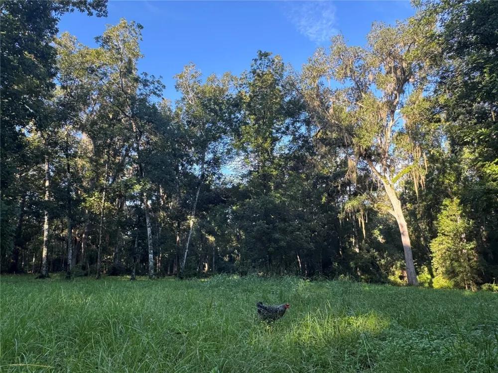 24142 TAMBER ROAD Brooksville, FL 34602