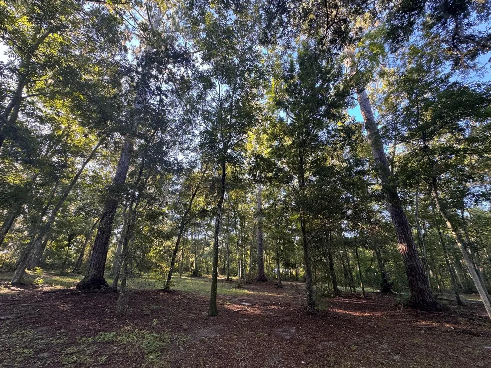 24142 TAMBER ROAD Brooksville, FL 34602