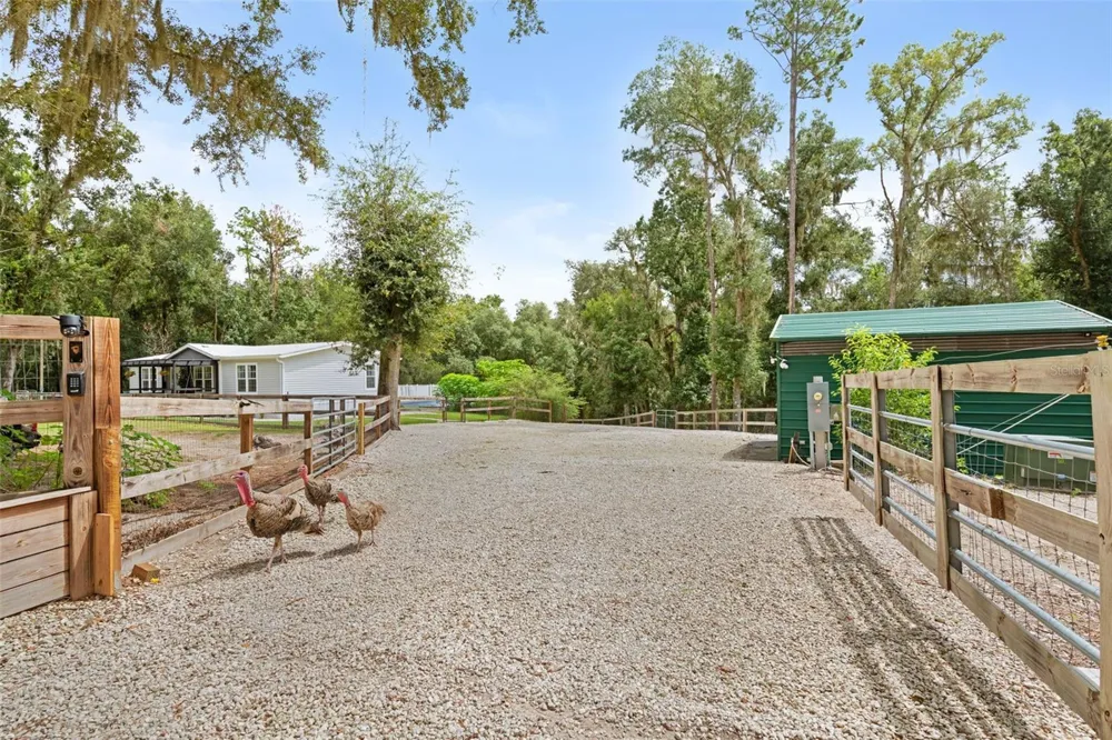 1164 KATIE WOOD TRAIL Brooksville, FL 34602