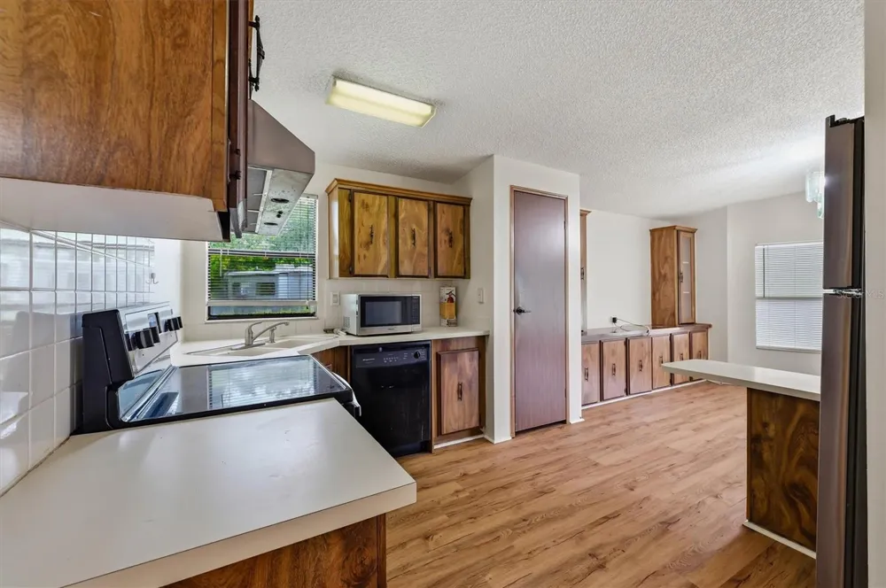 3649 ALICE DRIVE Wesley Chapel, FL 33543