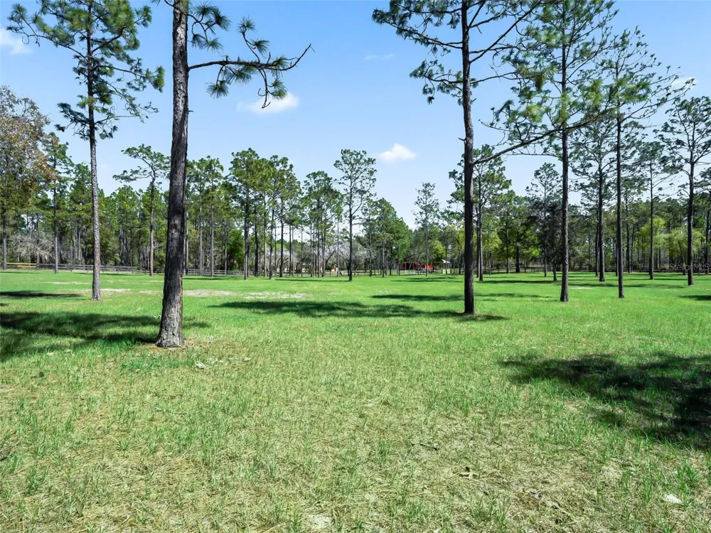 11370 SE 12TH LANE Morriston, FL 32668