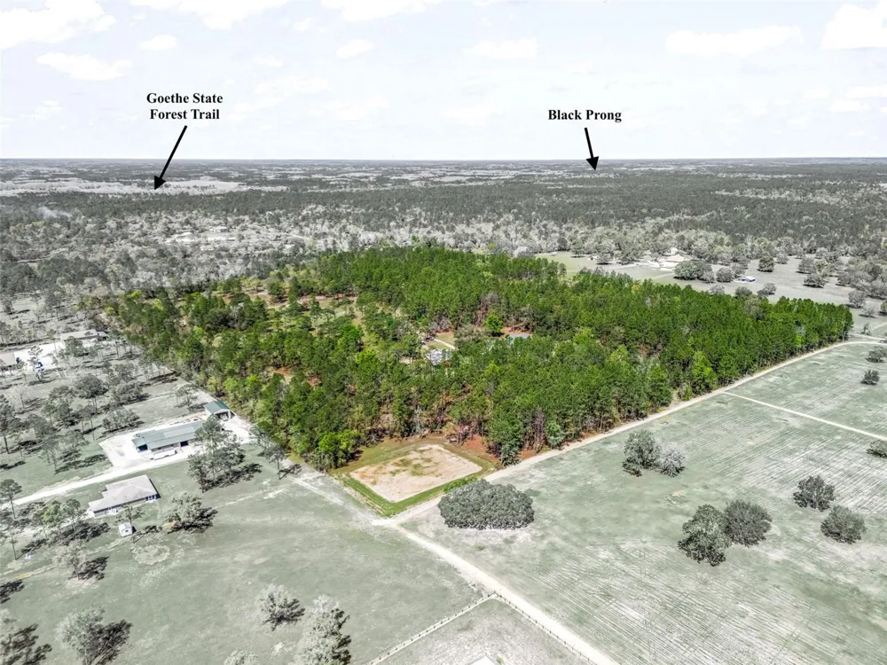 11370 SE 12TH LANE Morriston, FL 32668