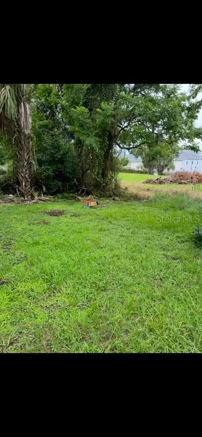 124 10TH STREET Haines City, FL 33844