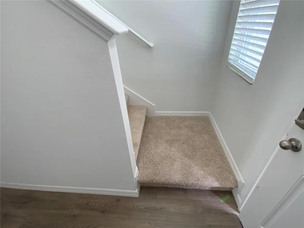 32562 MIDSUMMER NIGHT LANE Wesley Chapel, FL 33543