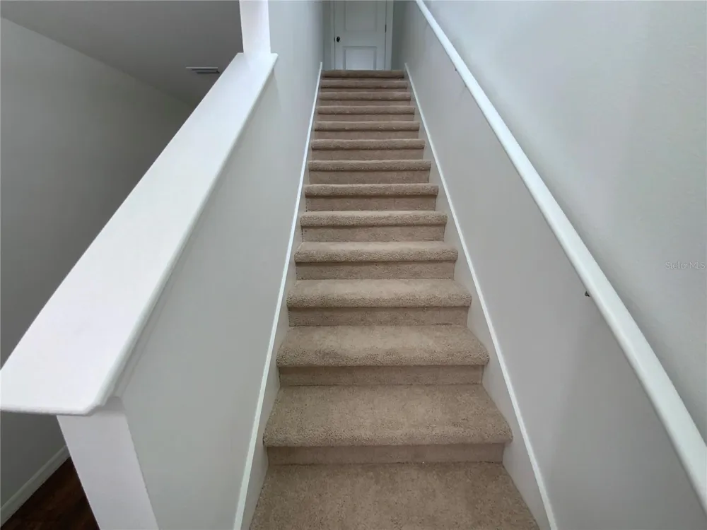32562 MIDSUMMER NIGHT LANE Wesley Chapel, FL 33543