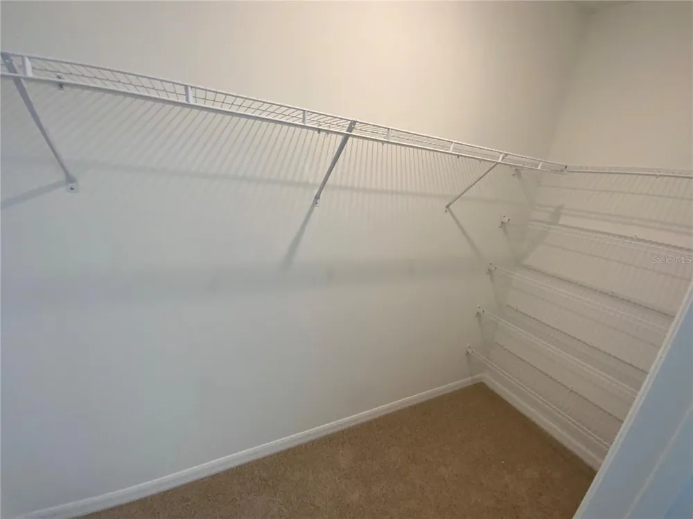 32562 MIDSUMMER NIGHT LANE Wesley Chapel, FL 33543