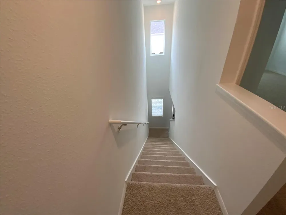 32562 MIDSUMMER NIGHT LANE Wesley Chapel, FL 33543