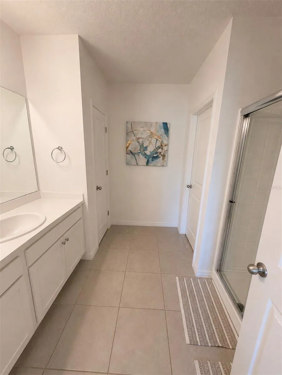 6785 SHELBY LYNN WAY Zephyrhills, FL 33542