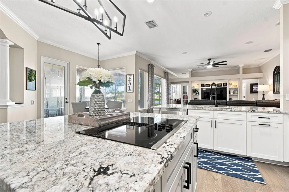 23610 GRACEWOOD CIRCLE Land O Lakes, FL 34639