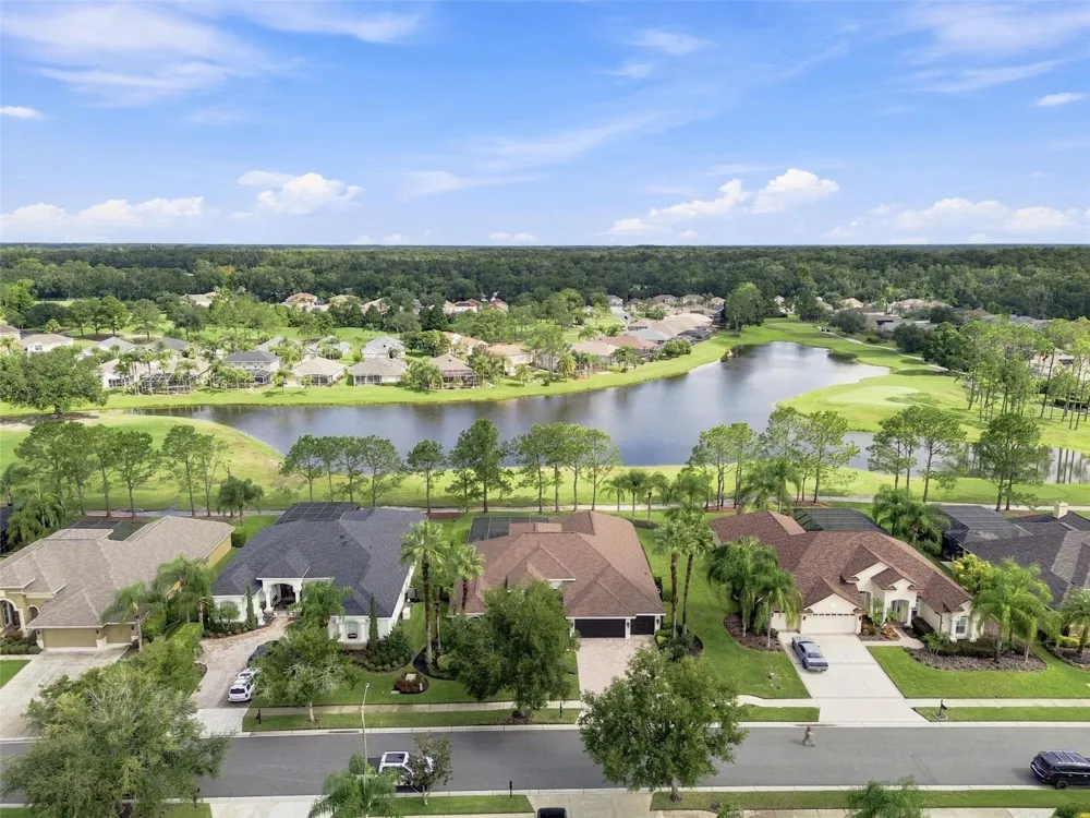 23610 GRACEWOOD CIRCLE Land O Lakes, FL 34639