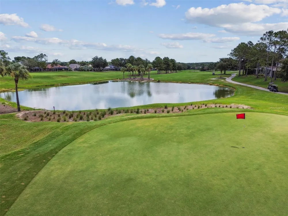 23610 GRACEWOOD CIRCLE Land O Lakes, FL 34639