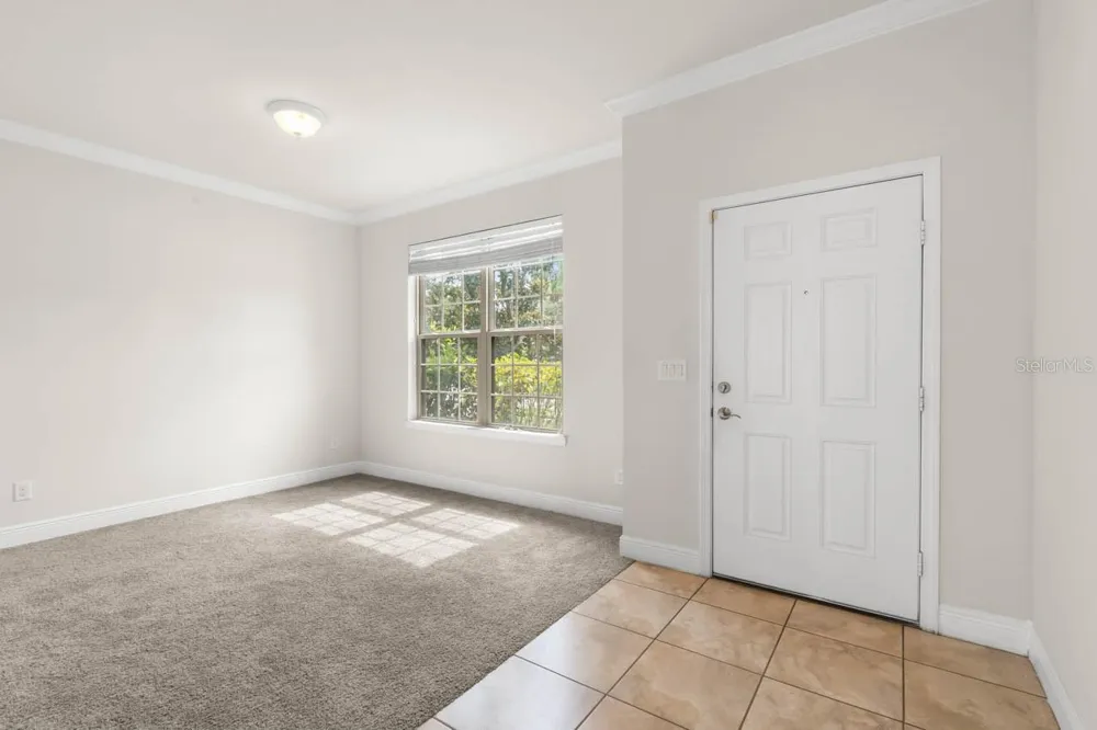 9118 MOUNTAIN MAGNOLIA DRIVE Riverview, FL 33578