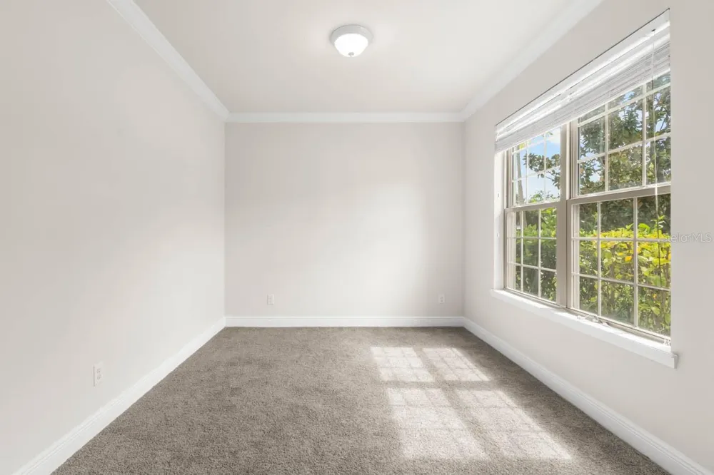 9118 MOUNTAIN MAGNOLIA DRIVE Riverview, FL 33578